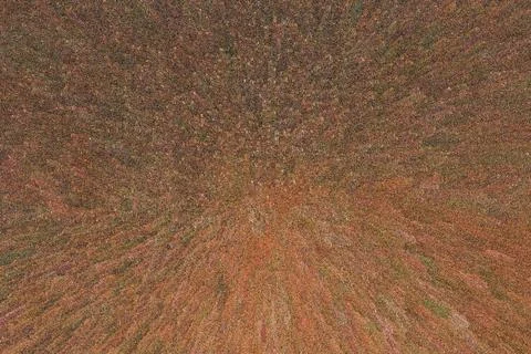 Abstract texture for design with copy space. Stock Photos