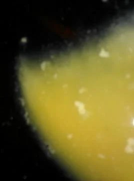 Abstract texture with different elements Foto stock