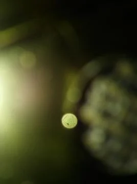 Abstract texture with different elements Stock Photos