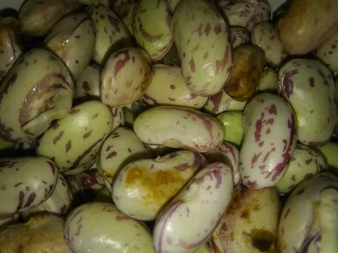 Abstract texture with different elements Foto stock