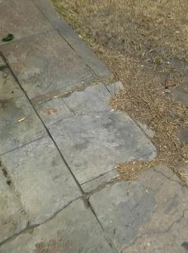 Abstract texture with different elements Foto stock