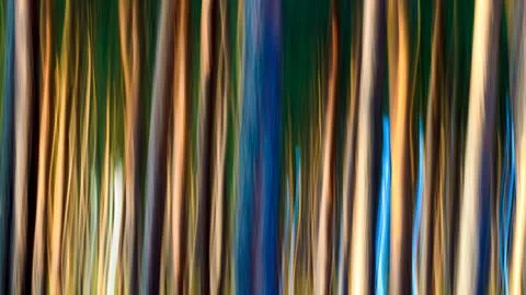 Abstract texture from forest landscape Stock Photos