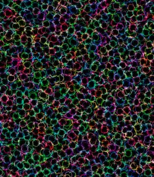 Abstract texture Stock Illustration