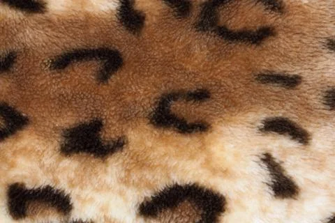 Abstract texture of leopard skin Stock Photos