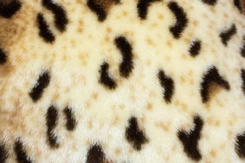 Abstract texture of leopard skin Stock Photos