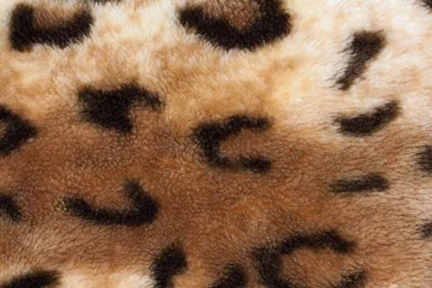 Abstract texture of leopard skin Stock Photos