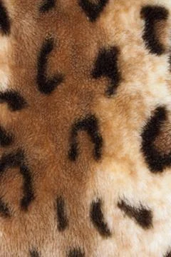 Abstract texture of leopard skin Stock Photos