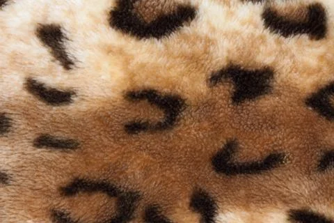 Abstract texture of leopard skin Stock Photos