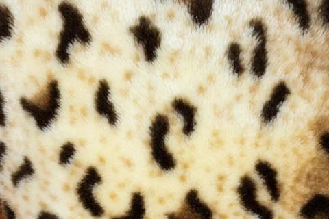 Abstract texture of leopard skin Stock Photos
