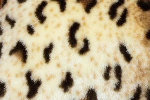 Abstract texture of leopard skin Stock Photos