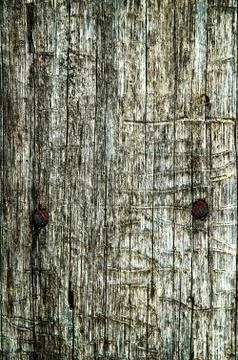 Abstract texture an old dry cracked wood Stock Photos