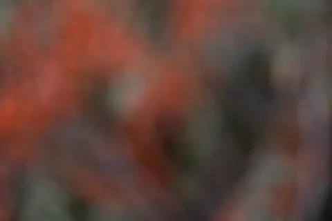 Abstract Texture Pattern Design Bokeh Background of Red, Grey and Green Color Stock Photos