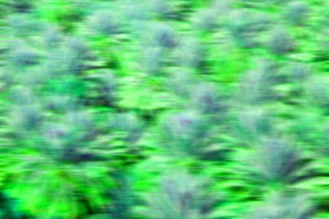 The abstract  texture Stock Photos