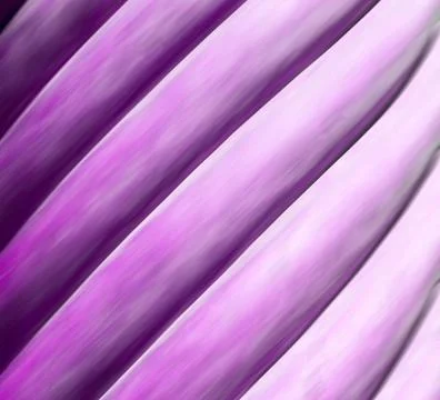 The abstract  texture Foto stock