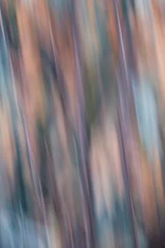 Abstract texture Stock Photos