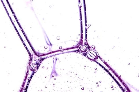 Abstract texture of purple soap bubbles closeup Stock Photos