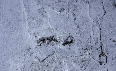 Abstract texture of rough white painted concrete surface Stock Photos