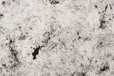 Abstract texture spotted background. Stock Photos