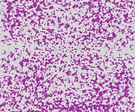 Abstract texture spotted pattern painting purple color background Stock Illustration