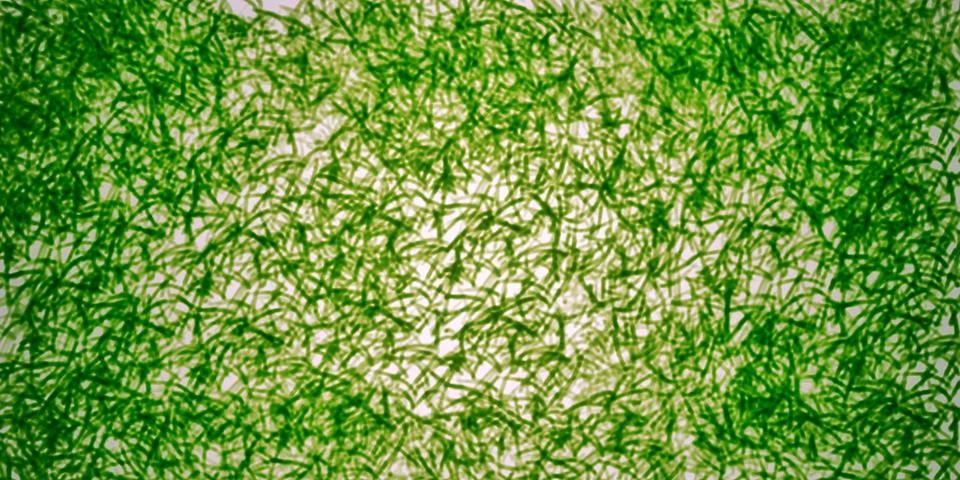 Abstract texture spotted pattern painting green color backgroundr Stock Illustration