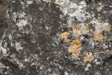 Abstract texture stone Stock Photos