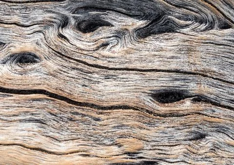 Abstract texture on surface of old wooden board Stock Photos