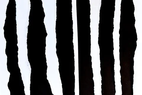 Abstract texture of torn paper with black and white vertical stripes. Stock Photos