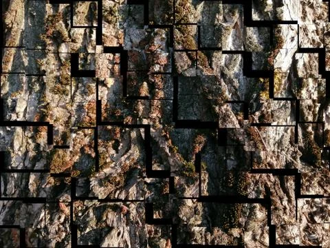 Abstract texture of tree bark Stock Illustration