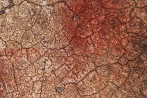 Abstract texture wall cracked red brown Stock Photos