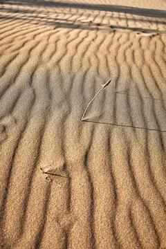 Abstract texture of waves on the surface of a sand dune Stock Photos