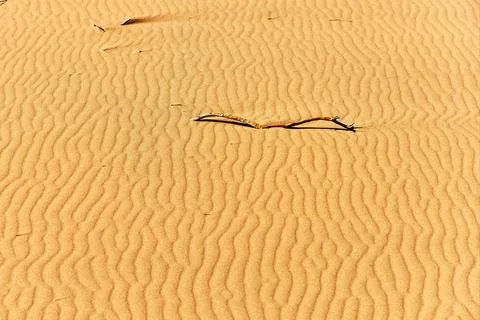 Abstract texture of waves on the surface of a sand dune Stock Photos