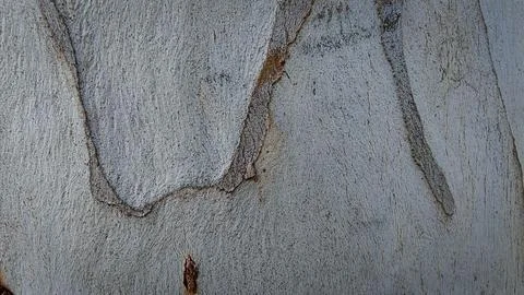 Abstract Texture of Weathered Wall with Subtle Cracks and Patterns Stock Photos