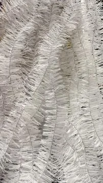 Abstract texture of white artificial pine needles or tinsel garland backgro.. Stock Photos