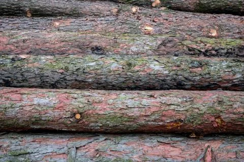 Abstract texture of wooden logs parallel to each other Fotos Stock