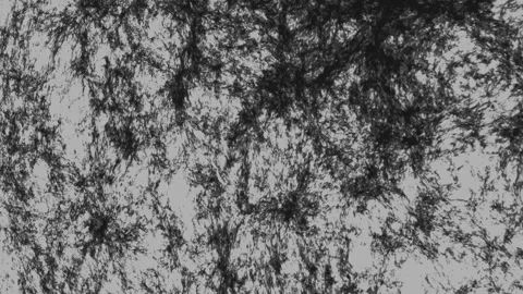 Abstract textured background with dark organic patterns and light gray backdrop 库存影片 343109009