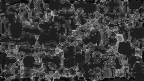 Abstract textured background with organic cellular structure and negative s.. Stock Footage 343482350