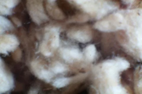 Abstract Textured Fluffy Material Background with Neutral Tones and Softness Stock Photos