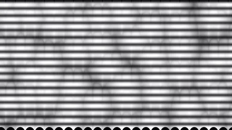 Abstract textured organic cellular patterns evolving with digital glitch di.. Stock Footage 341543578