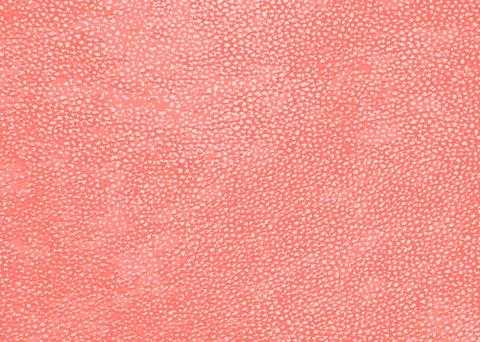 Abstract textured pink banner. Vector illustration. Stock Illustration