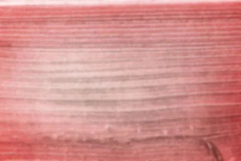 Abstract textured surface is showing horizontal red white gradient of brush Stock Photos