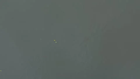 Abstract textured surface with subtle variations in dark gray tones and sca.. Stock Footage 340052513