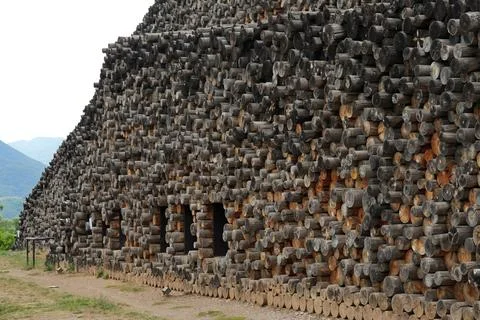 Abstract textured wall made of stacked log cross-sections. 스톡 사진