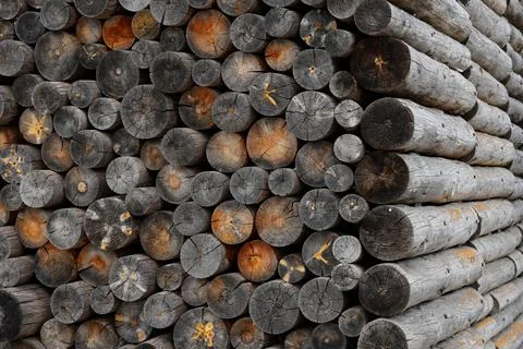 Abstract textured wall made of stacked log cross-sections. Stock Photos