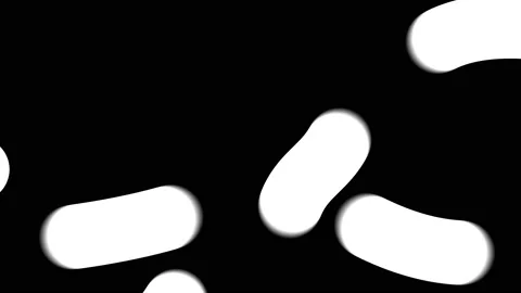Abstract thick line worms moving chaotically. Seamless loop. Black and white Stock Footage 142350765