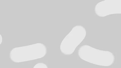 Abstract thick line worms moving chaotically. Seamless loop. Light grayscale Stock Footage 142350766