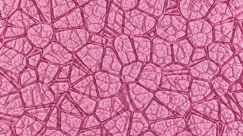 Abstract three-dimensional background with porous tactile texture and organic 스톡 일러스트