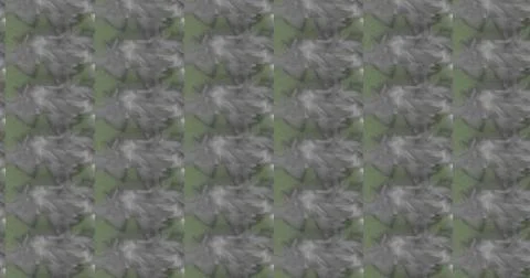 Abstract Tie-Dye Pattern in Gray and Sage Green Stock Illustration