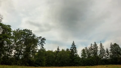 Abstract time lapse witch blurry cloudy sky over forest. Stock Footage 313453946