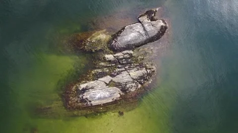 Abstract Tiny Seaweed Island Zoom Out to Rocky Shale Beach - Oslo, Norway Aerial Stock Footage 258289289