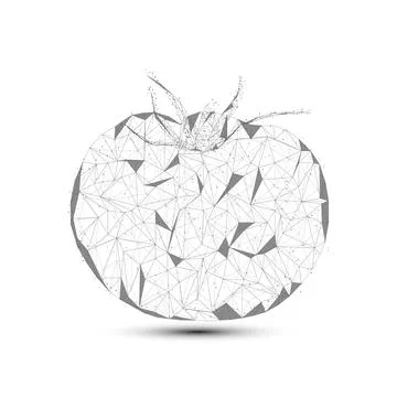 Abstract Tomato with consisting of point, line and shape in the design. Stock Illustration